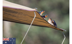 Gordigear Dachzelt 165 Plus Für 3 Personen Mit Vorzelt 165 X 320 Cm Grün 15 Gordigear Dachzelt 165 Plus Für 3 Personen Mit Vorzelt 165 X 320 Cm Grün -Campingzelte Verkaufsgeschäft 585663 3986115