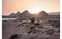 Gordigear Dachzelt Für 2 Personen Mit Staufläche 140 X 240 Cm Grün -Campingzelte Verkaufsgeschäft 737321 4968308